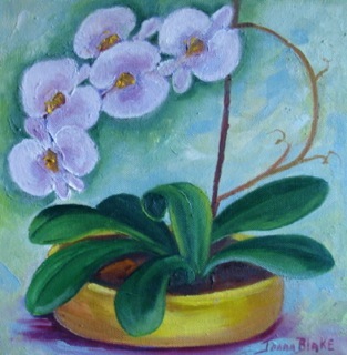 Joann Blake - Pink Orchid